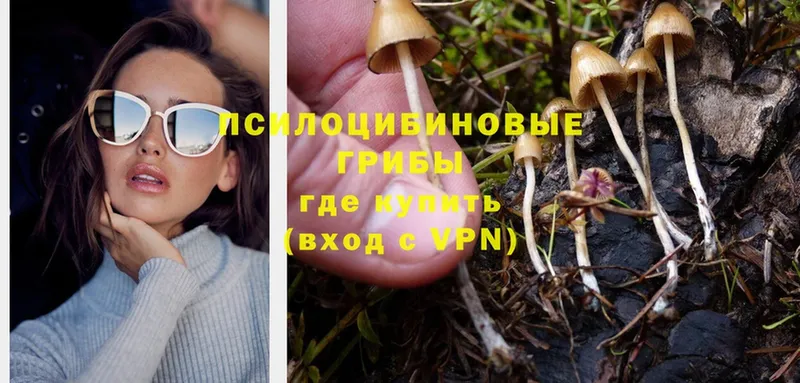 MEGA онион  Ревда  Галлюциногенные грибы MAGIC MUSHROOMS 